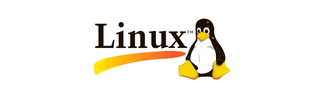 Linux minicard compressed | Vox | Hosting